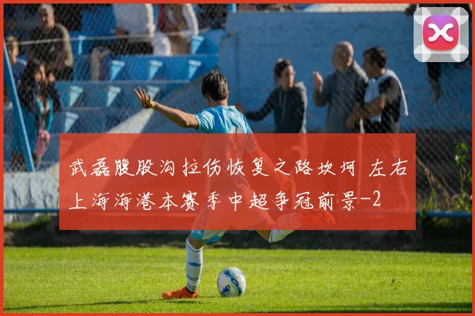 武磊腹股沟拉伤恢复之路坎坷 左右上海海港本赛季中超争冠前景