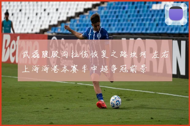 武磊腹股沟拉伤恢复之路坎坷 左右上海海港本赛季中超争冠前景